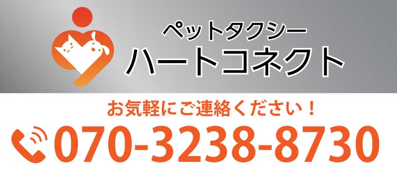 川越周辺のペットタクシーならハートコネクト